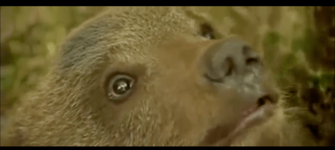 Screen Shot 2018-04-16 at 3.19.19 PM